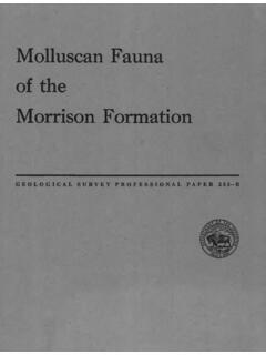 Molluscan Fauna of the Morrison Formation - USGS