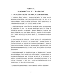 CAPITULO I MARCO CONTEXTUAL DE LA INVESTIGACI&#211;N 1.1 ...