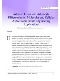 Adipose Tissue and Adipocyte Differentiation: …