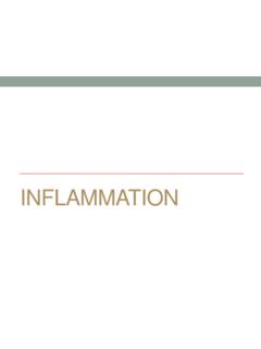 Pathology Inflammation Lectures