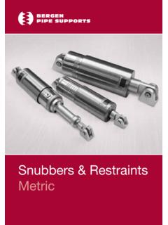 Snubbers &amp; Restraints Metric - PIPE SUPPORTS …
