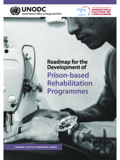 Roadmap for the Development of Prison-based …