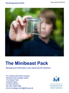 The Minibeast Pack - Royal Borough of Kensington and Chelsea