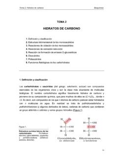 HIDRATOS DE CARBONO - UHU