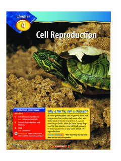 A: Chapter 4: Cell Reproduction