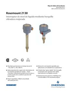 Rosemount 2130 Interruptor de nivel de l&#237;quido …