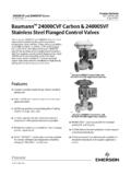 Baumann 24000CVF Carbon 24000SVF Stainless Steel Flanged ...