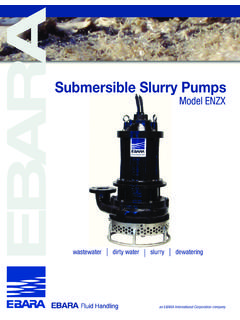 Submersible Slurry Pumps