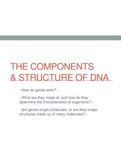 The Components &amp; Structure of DNA