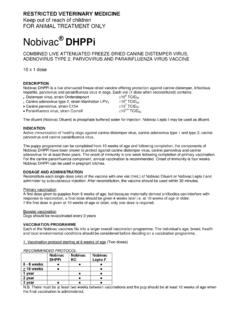 Nobivac DHPPi - MSD Animal Health