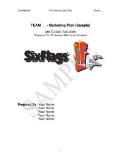 TEAM - Marketing Plan (Sample)
