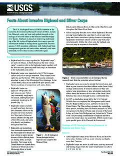 Facts About Invasive Bighead and Silver Carps