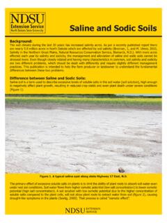 Saline and Sodic Soils - North Dakota State University