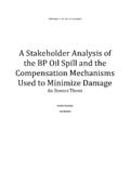 A Stakeholder Analysis of the BP Oil Spill and the ...