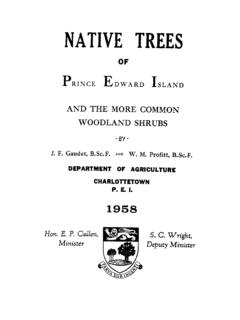 Native Trees of Prince Edward Island