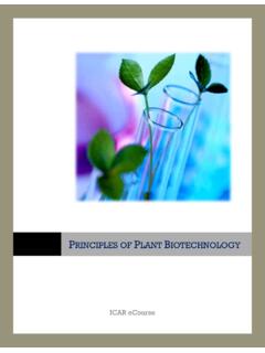 PLANT BIOTECHNOLOGY - AgriMoon