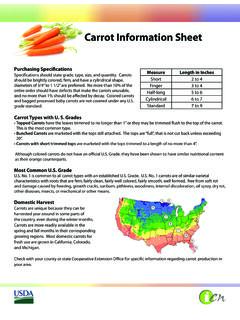 Carrot Information Sheet - theicn.org