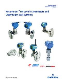 Manual: Rosemount DP Level Transmitters and 1199 …