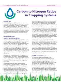 Carbon to Nitrogen Ratios in Cropping Systems - USDA
