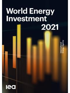 World Energy Investment 2021 - .NET Framework