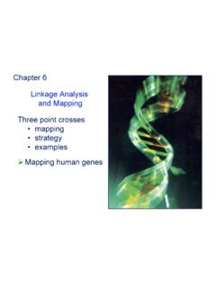Chapter 6 Linkage Analysis and Mapping Three point …