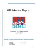 2013 Annual Report - NORCOM