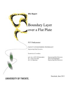 Boundary Layer over a Flat Plate - Universiteit Twente