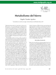 Metabolismo del hierro - medigraphic.com