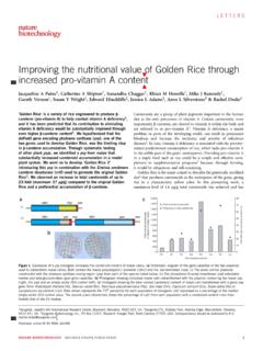 Improving the nutritional value of Golden Rice …