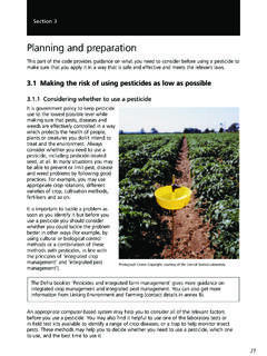 Planning and preparation - Health and Safety …