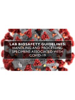 Lab Biosafety Guidelines: Handling and Processing ...