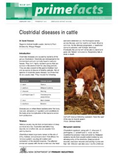 Clostridial diseases in cattle - Department of …