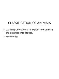 CLASSIFICATION OF ANIMALS - All Saints Academy, …