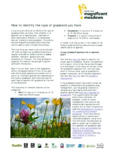 How to identify the type of grassland you have