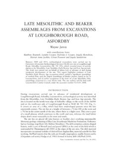 LATE MESOLITHIC AND BEAKER ASSEMBLAGES FROM …