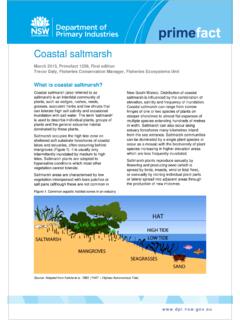 Coastal Saltmarsh - Primefact - Department of Primary ...