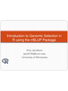 Introduction to Genomic Selection in R using the …