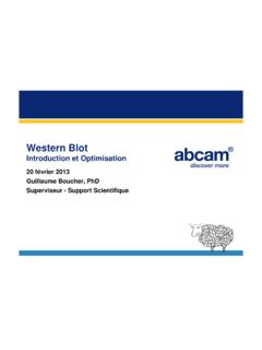 French WB webinar (18 Feb) - docs.abcam.com