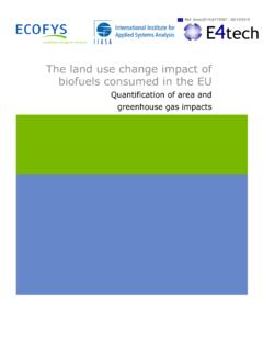 The land use change impact of biofuels consumed in the EU