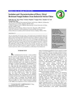 Isolation and Characterization of Heavy Metal Resistant ...