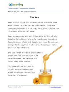Reading Comprehension Worksheet and Kid's Fable - 'The Bee'