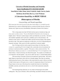 A Literature-based Key to REDUVIIDAE (Heteroptera) of Florida