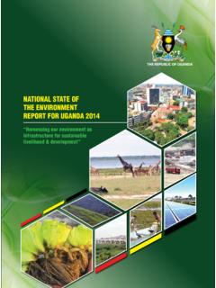 NATIONAL STATE OF THE ENVIRONMENT REPORT FOR …