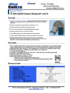 BR-C46AR Class2 Bluetooth ver2 - Blue Radios