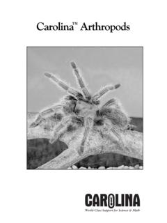 Carolina Arthropods Brochure - beta-static.fishersci.com