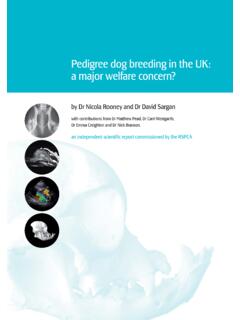 Pedigree dog breeding in the UK: a major welfare concern?