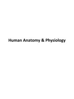 Human Anatomy &amp; Physiology - Academic Computer Center