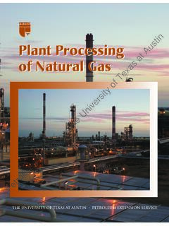 Plant Processing of Natural Gas - University of Texas at ...