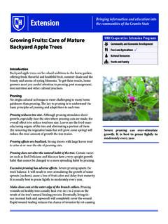 Growing Fruits: Care of Mature Backyard Apple Trees
