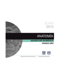 2 Anatom&#237;a - UNAM